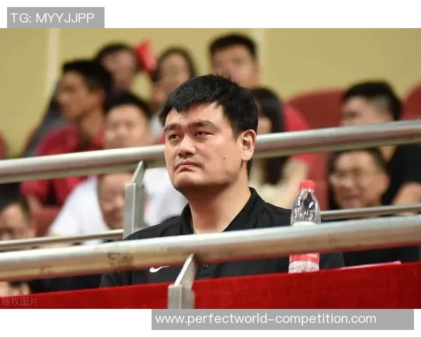 姚明原视频揭秘篮球巨星成长历程与背后不为人知的故事